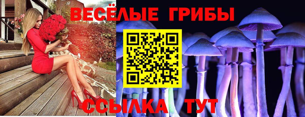 Псилоцибиновые грибы Cubensis Дубна