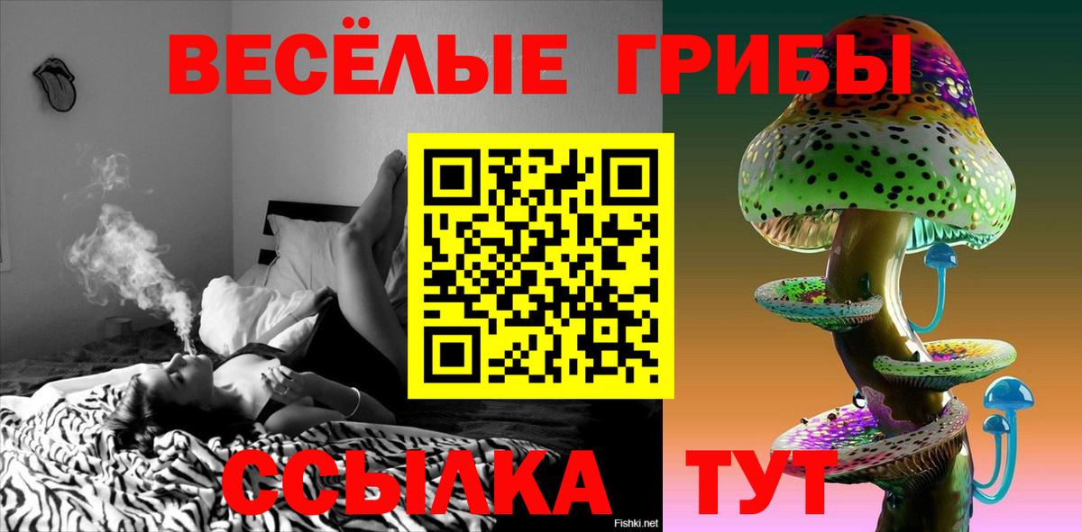 Псилоцибиновые грибы мухоморы  Вход с VPN  Псилоцибиновые грибы Magic Shrooms  Дубна 